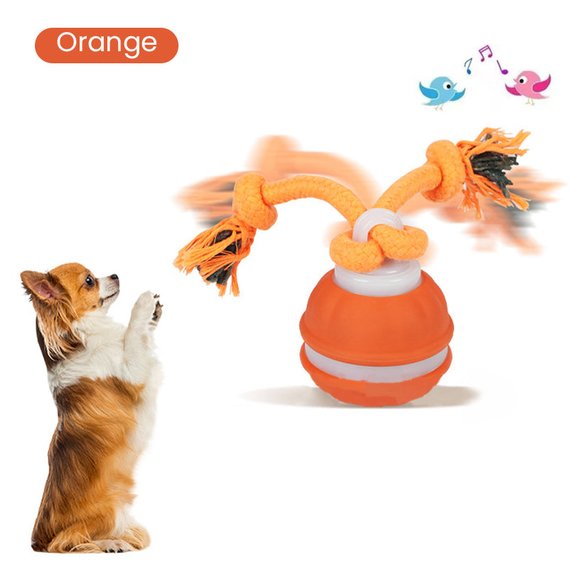 Interactive Cat Ball – LED Lights, Bird Sounds & Auto Obstacle Avoidance