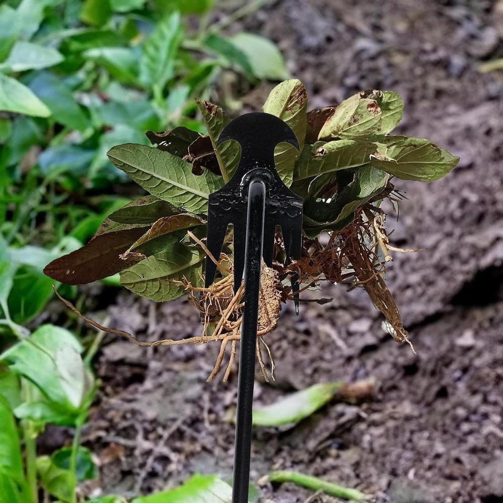 Enhanced Product Title: **Manganstahl Unkrautstecher mit 4-Zinken – Robuste Unkrautentfernung für Gartenpflege** 

This title includes relevant keywords and highlights the product's material and functionality, making it more appealing for Google Shopping