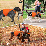Reflektierende Sicherheitsweste für Hunde – Hohe Sichtbarkeit & Sicherheit bei Abendspaziergängen – Ideal für alle Hunderassen
