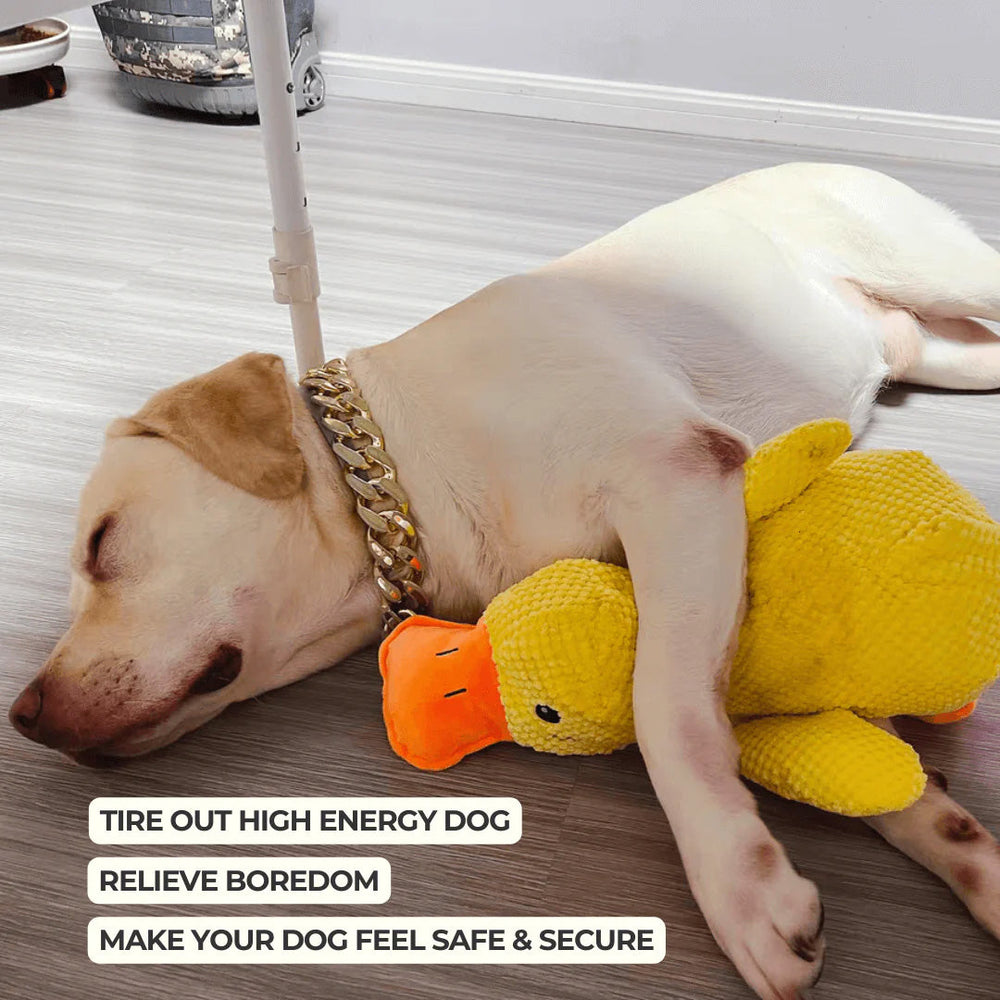 Squeaky Duck Dog Toy – Plush 38×45cm, Durable Handmade & Non-Toxic