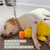Squeaky Duck Dog Toy – Plush 38×45cm, Durable Handmade & Non-Toxic
