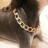 Noxord | Pet Jewelry Thick Gold Chain Collar
