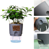 Optimized Product Title: **Selbstbewässernder Blumentopf – Automatisches Bewässerungssystem für gesunde Pflanzen, nie wieder vertrocknet!** 

This title includes keywords that enhance search visibility while clearly conveying the product's benefits.