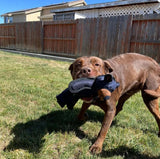 Dog Chew Toy for Aggressive Chewers – Triple-Reinforced, Teeth-Cleaning & Non-Toxic