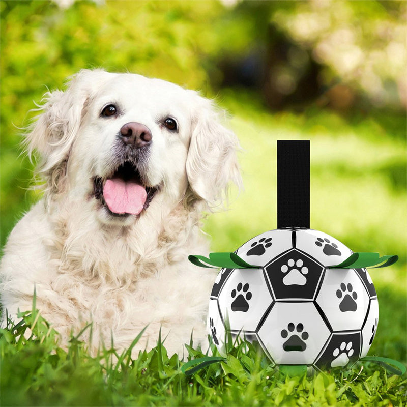 Floating Dog Football – Non-Toxic, Paw Design for Land & Water Fetch