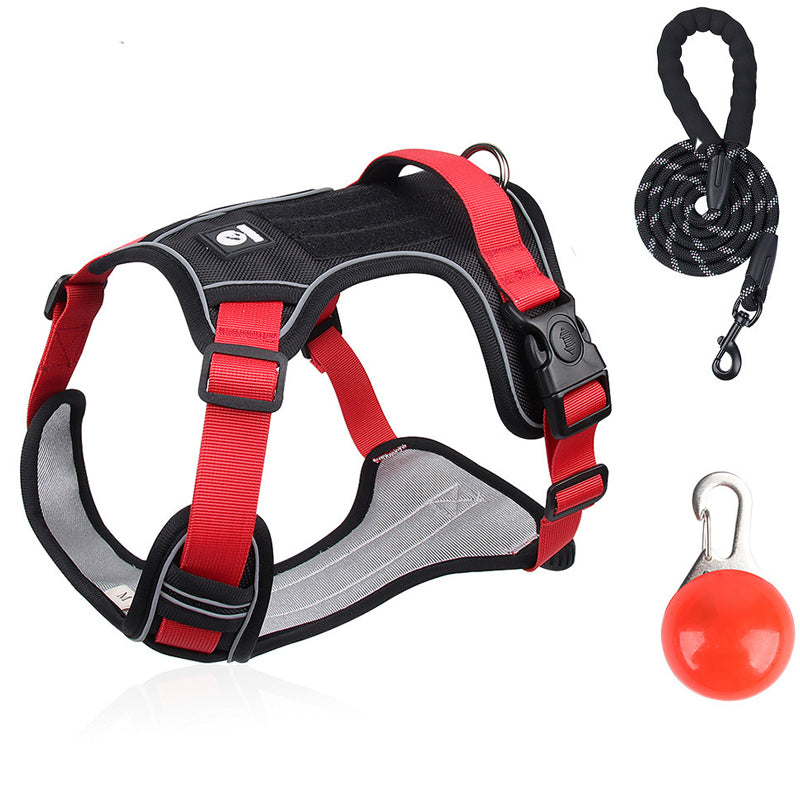 No-Pull Dog Harness Set – LED Collar, Padded Fit & Matching Leash