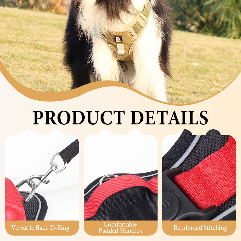 No-Pull Dog Harness Set – LED Collar, Padded Fit & Matching Leash