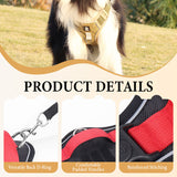No-Pull Dog Harness Set – LED Collar, Padded Fit & Matching Leash