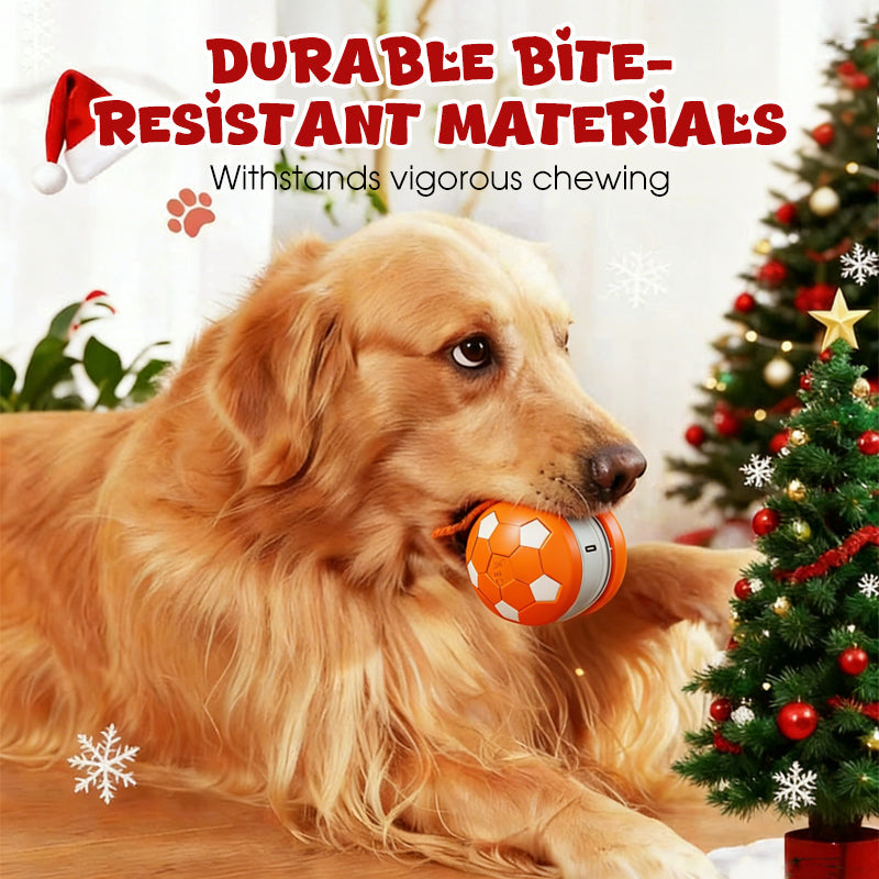 Interactive Dog Ball – USB-C Rechargeable, ABS/TPU & Obstacle-Avoiding