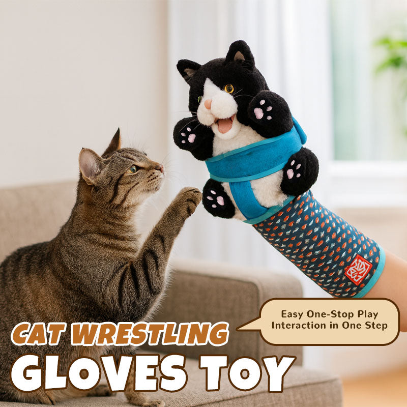 Enhanced Product Title: "Katzenhandschuh mit Plüschpuppe – Sicheres Spielzeug für Kratzfreies Spielen mit Ihrer Katze" 

This title is optimized for clarity and includes relevant keywords that potential buyers might search for, while also highlighting the