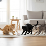 Enhanced Product Title: "FeatherBounce Katzenspielzeug - 3er-Set | Interaktives Spielzeug für Katzen mit Federn | Fördert Spiel und Bewegung" 

This title includes keywords that can help improve visibility in Google Shopping while clearly describing the p