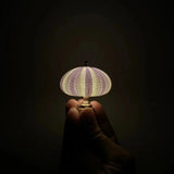 Enhanced Product Title: "Seeigel Nachtlampe - Elegante LED Kinder-Nachtlicht mit sanfter Beleuchtung für beruhigende Nächte" 

This title includes relevant keywords and provides more detail about the product, which can help improve visibility and attract