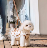 Ergonomic Dog Carrier Bag – AirMesh, Crossbody & Sizes S–XL
