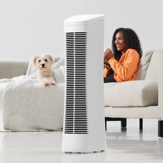 Ionic Air Purifier – Quiet Fan, Washable Filter & 400 Sq Ft Coverage