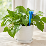 Automatic Plant Watering Spikes – Adjustable Flow, Reusable Design & Tool-Free Setup