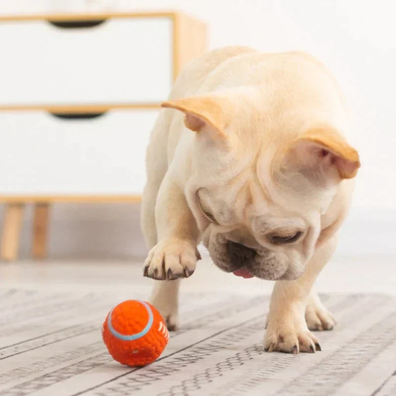 KryptoChew indestructible dog chew toy