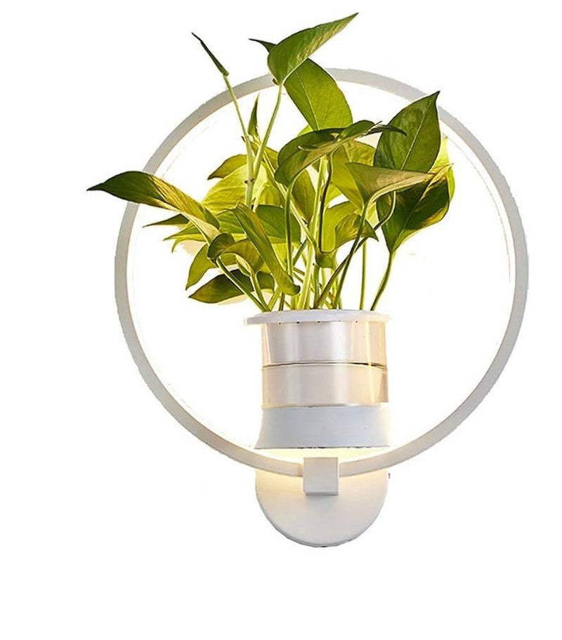 Enhanced Product Title: "Botanische Wandleuchte – Stilvolle Pflanzen-Inspirierte Wandlampe für Wohnräume, Schlafzimmer und Flure" 

This title includes relevant keywords and provides more context about the product, which can help improve visibility and ap
