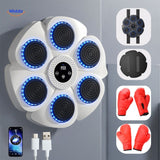 PunchTech – Interactive Smart Boxing Machine