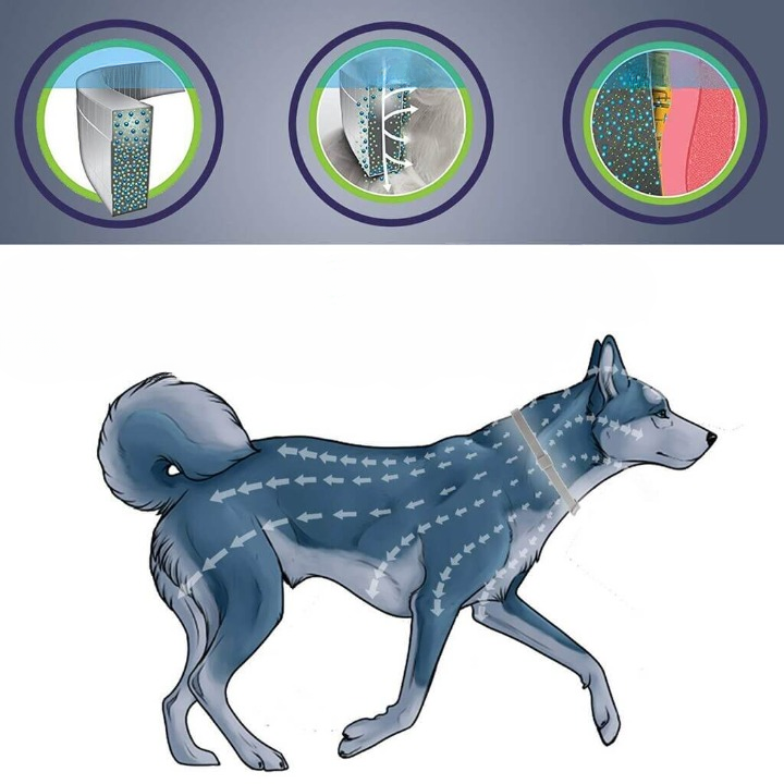 Natural Flea & Tick Collar – 8-Month Protection, Waterproof & Adjustable for Dogs & Cats