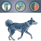 Natural Flea & Tick Collar – 8-Month Protection, Waterproof & Adjustable for Dogs & Cats