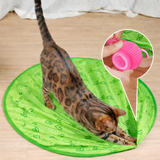 Cat Toy Interactive Rolling Smart Ball Indoor Play
