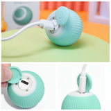 Cat Toy Interactive Rolling Smart Ball Indoor Play