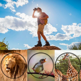 8x35 Binoculars – Waterproof, 35mm Lens & Compact for Bird Watching