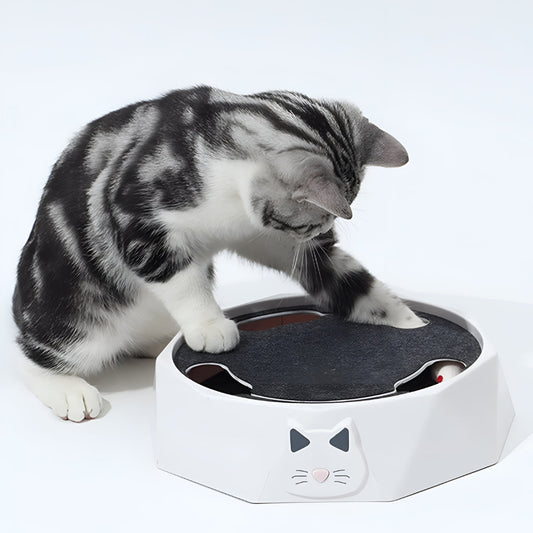 Cat Scratch Pad – Interactive Mouse Toy, Activity Center & Pet Play
