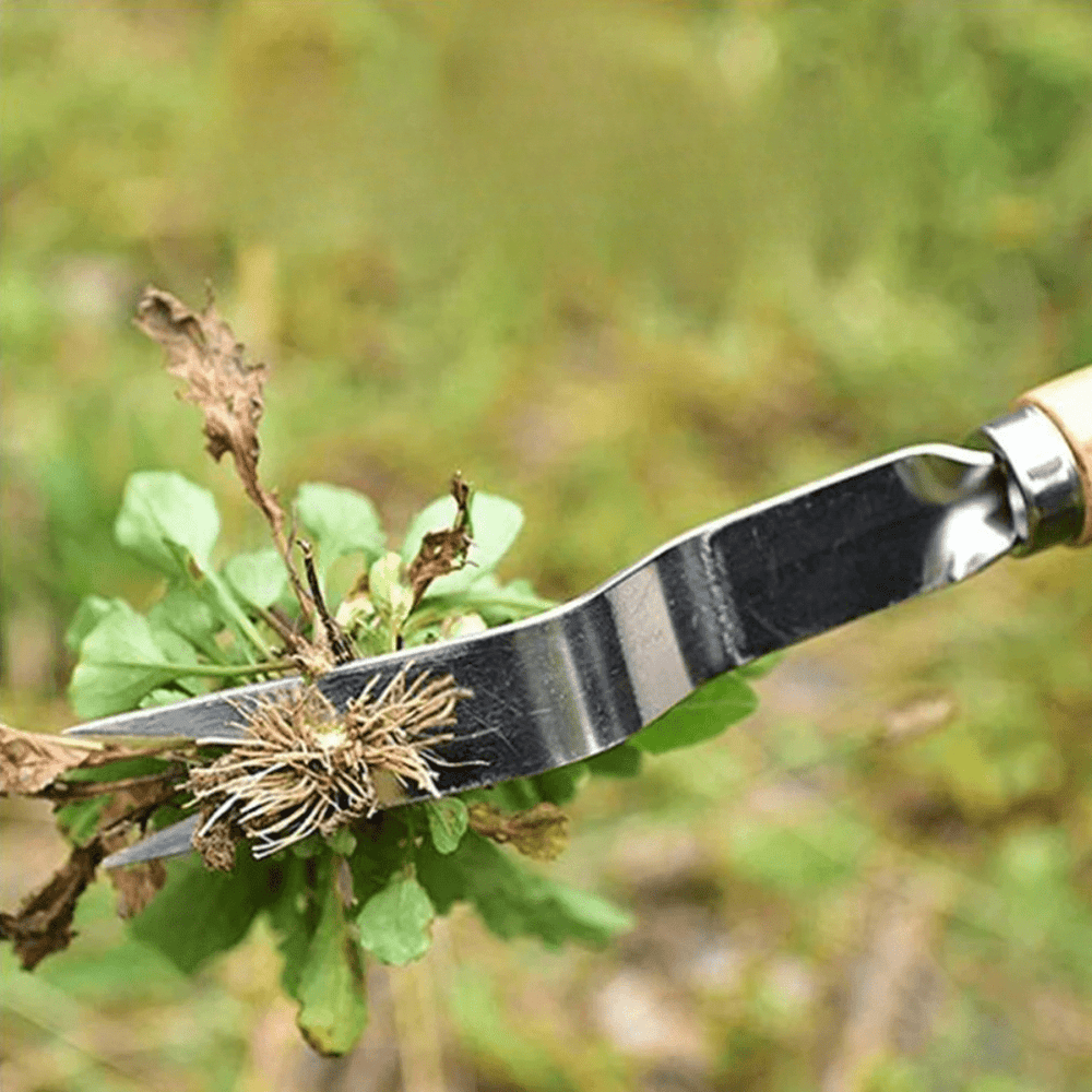 Enhanced Product Title: Ergonomic Wooden Handle Weed Puller - Efficient Unkrautstecher for Easy Gardening 

This title includes relevant keywords while emphasizing the product's ergonomic design and functionality, making it more appealing for Google Shopp