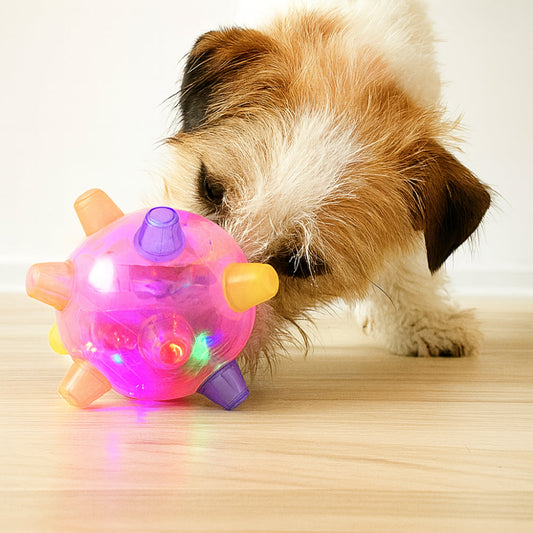 Interactive Dog Toy – LED Light, Bouncing Motion & Durable Rubber Build