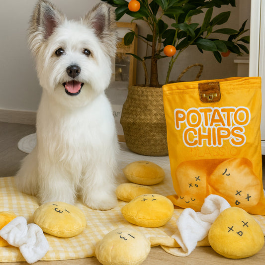 Dog Snuffle Mat Toy – Interactive, Treat-Searching & Enrichment Design