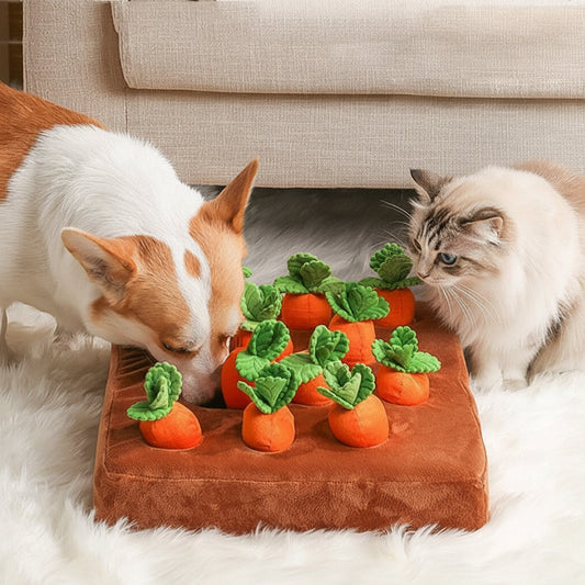 Dog Snuffle Mat – Carrot Design, Treat Hiding & Training Play