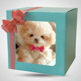 Dog Toy Interactive Walking Puppy Design