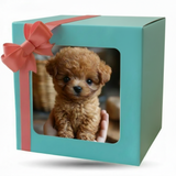 Dog Toy Interactive Walking Puppy Design