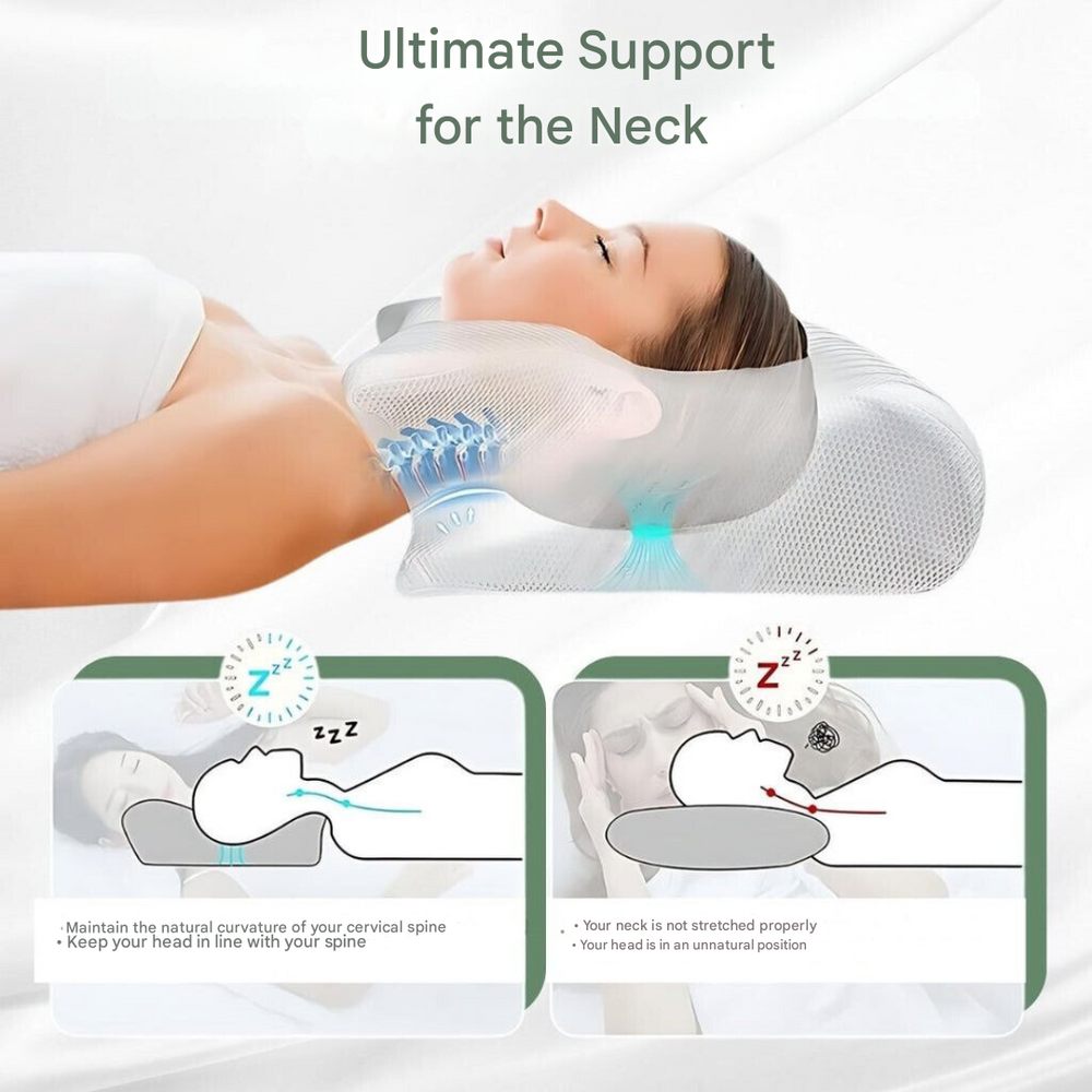 DreamAlign – Orthopedic Pillow