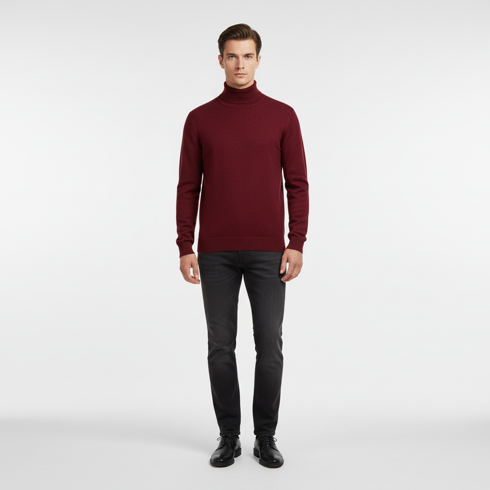 Elegantly Cut Turtlenecks - Harald