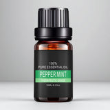 Essential Oils Aromatic Plant Extract 10ml Bottle