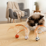 Enhanced Product Title: "FeatherBounce Katzenspielzeug - 3er-Set | Interaktives Spielzeug für Katzen mit Federn | Fördert Spiel und Bewegung" 

This title includes keywords that can help improve visibility in Google Shopping while clearly describing the p