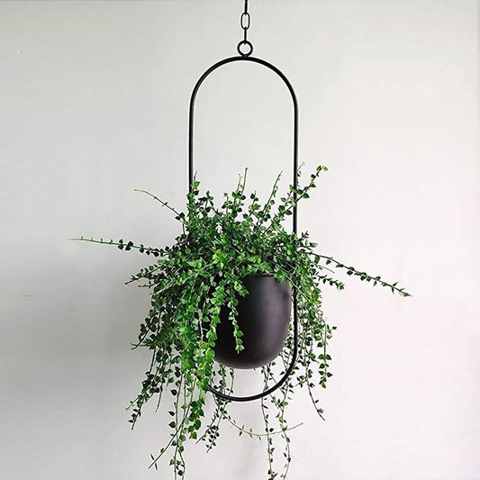 Hanging Planter – Modern Minimalist Style, Iron Frame & Wall-Mounted Design