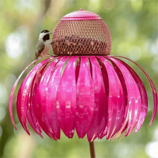 Bird Feeder – Metal, Hanging & Outdoor Garden Design