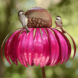 Bird Feeder Metal Garden Sunflower Hanging Outdoor Feeding Bowl