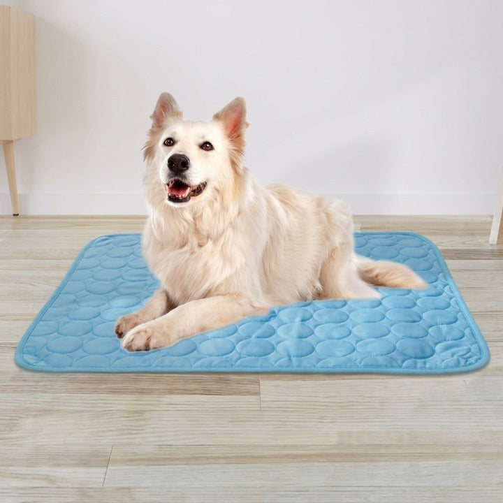 Pet Cooling Mat – Breathable Mesh, XS to 2XL Sizes, for Dogs & Cats