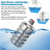 Optimized Product Title: **Automatisches Edelstahl-Schwimmerventil – Stromloses Wasserstandsregelventil für Pools und Teiche** 

This title includes relevant keywords and provides more context about the product's use, which can help improve visibility in