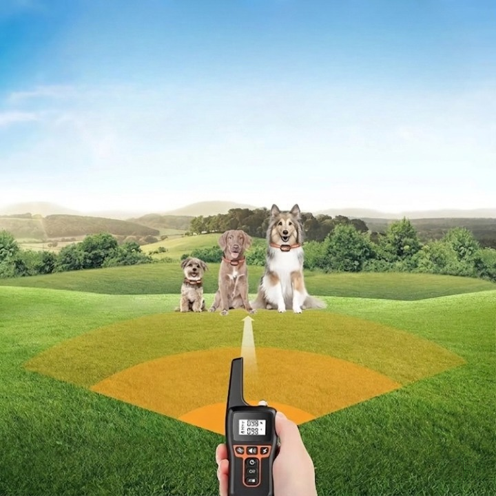 Optimized Product Title: "Fernbedienbares Hundehalsband bis 1000m - Ideal für entspannte Spaziergänge mit Ihrem Hund" 

This title includes relevant keywords while maintaining clarity and appeal for potential buyers.