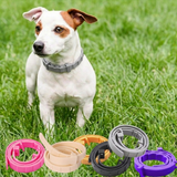 Natural Flea & Tick Collar – 8-Month Protection, Waterproof & Adjustable for Dogs & Cats