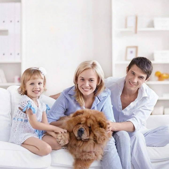 Ultrasonic Pet Pest Repeller – Chemical-Free, USB Rechargeable & Waterproof