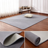 Coral Living Room Rug – Dreamland Carpet