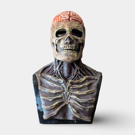 Halloween Mask – Skeleton Design, Movable Jaw & Cosplay Accessory