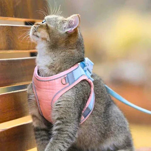 Optimized Product Title: **Reflektierendes Katzengeschirr mit Leine – Bequemer Sitz für Sicherheit und Komfort**