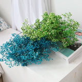Kalsten | Dried Preserved Gypsophila Flower Bouquet – Natural Decor